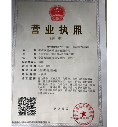 紗線(xiàn)，丙綸膨體紗，車(chē)毯紗，地毯紗，過(guò)濾紗，尼龍BCF絲，河北耐綸德新材料科技有限公司